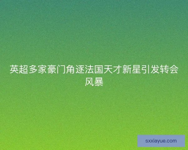 英超多家豪门角逐法国天才新星引发转会风暴